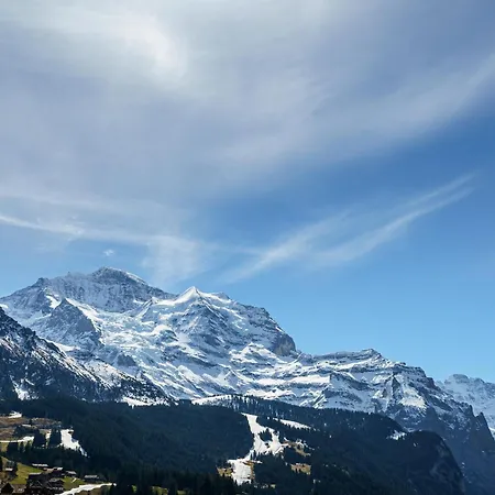 Apartman Kinohaus 7 *