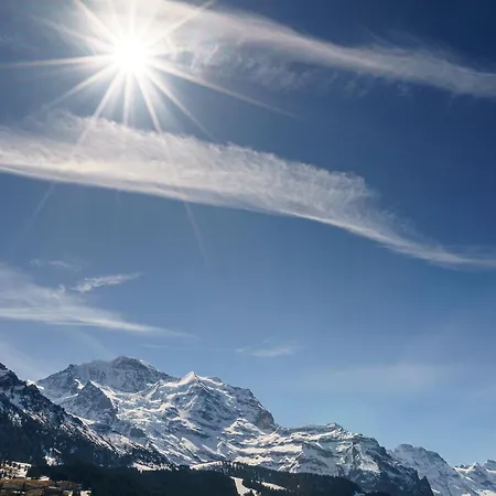 Kinohaus 7 דירה וונגן